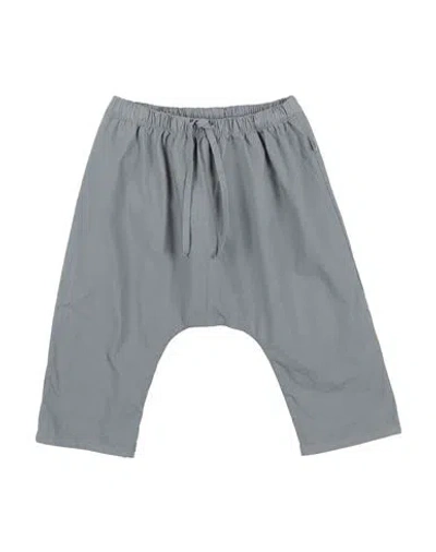 Teddy & Minou Newborn Boy Pants Grey Size 3 Cotton, Elastane In Grey