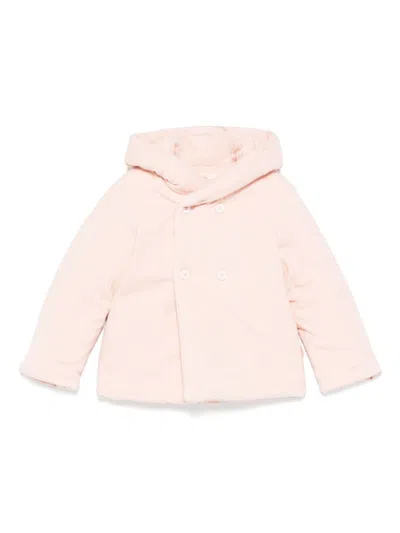 Teddy & Minou Babies' Padded Jacket In Pink