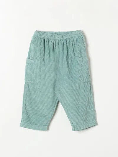 Teddy & Minou Pants  Kids Color Green In Grün