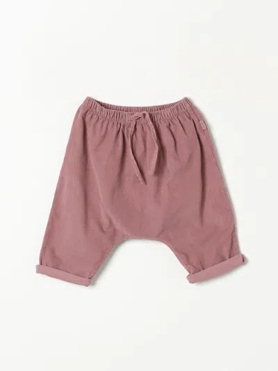 Teddy & Minou Pants  Kids Color Violet In Violett