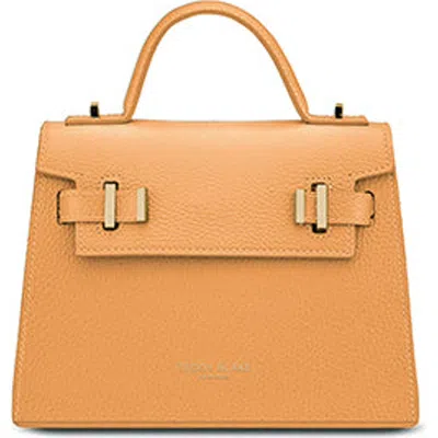 Teddy Blake Ava 9" In Apricot