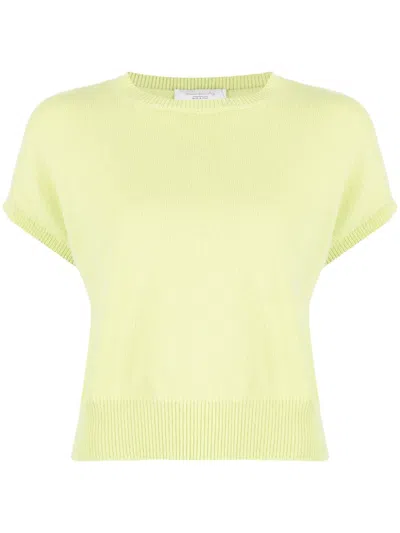 Teddy Cashmere Knitted Cashmere Crop Top In Green