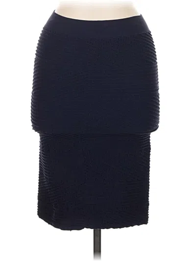 Pre-owned Tees By Tina Casual Skirt In Blue