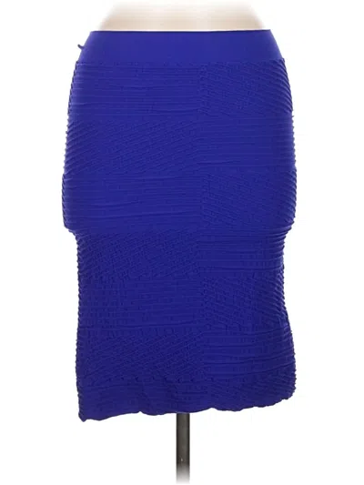 Pre-owned Tees By Tina Formal Skirt In Blue