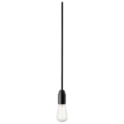 Pre-owned Tekna Thorn Pete Pendant-c Light In Brass With Dark Bronze Finish Nautic In Transparent
