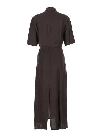 Tela Cherry In Brown