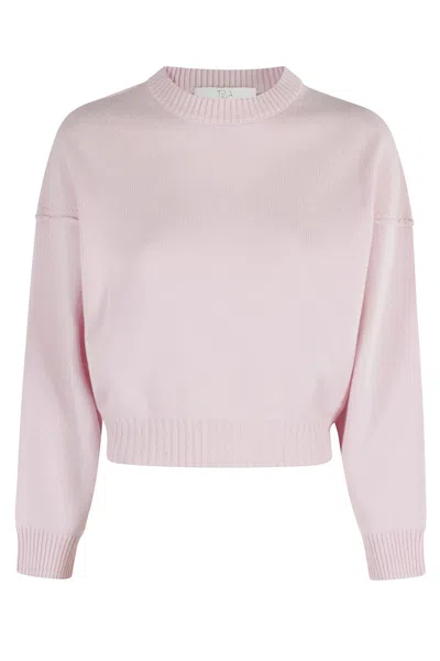 Tela Kebria Pattern Merino Wool Sweater With Batwing Sleeves In Pink