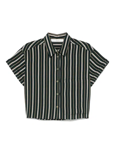 Tela Striped Shirt In Green