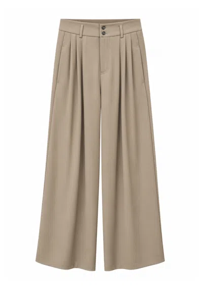 Tela Trousers  Double Pinces In Neutral
