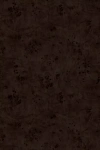 Tempaper & Co. Modern Burl Peel-and-stick Wallpaper