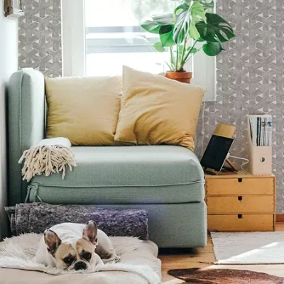 Tempaper Trellis Peel & Stick Wallpaper In Black