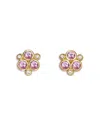 Temple St Clair 18k Yellow Gold Fj Pink Sapphire & Diamond Bezel Cluster Stud Earrings In Pink/gold