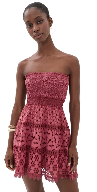 Temptation Positano Albegna Dress Burgundy