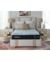 Tempur-pedic Proadapt 2.0 12" Medium Hybrid Memory Foam Mattress Set In Transparent