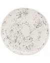 Ten Strawberry Street Set Of 6 Birch Salad Plates In White