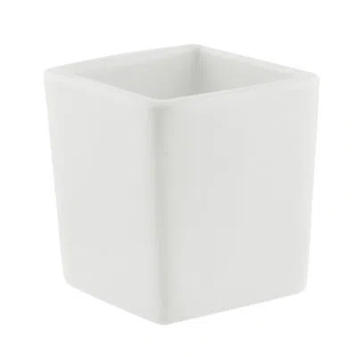 Ten Strawberry Street Whittier 3 Oz. Tall Tid Bit Bowl In White