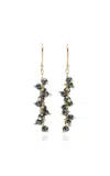 Ten Thousand Things 18k Yellow Gold Black Diamond Earrings In Black