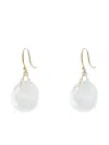 Ten Thousand Things 18k Yellow Gold Moonstone Earrings In Gold