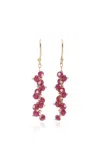 Ten Thousand Things 18k Yellow Gold Ruby Earrings In Red
