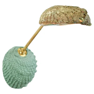 Pre-owned Tennant New York Abalone & Bamboo Articulated Sconce With Natural Seashell Shade [hardwired] In Transparent