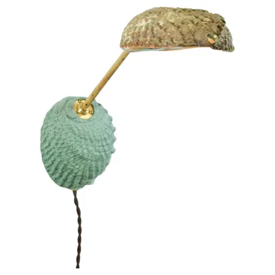 Pre-owned Tennant New York Abalone & Bamboo Articulated Wall Sconce With Natural Seashell Shade [corded] In Transparent