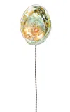 Tennant New York Abalone Siren's Sconce In Multi