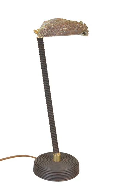 Tennant New York Abalone Task Lamp In Brown