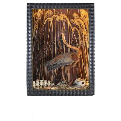 Pre-owned Tennant New York Illuminated Natural History Art Diorama Nature Scene With Purple Heron, In Stock