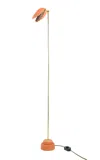 Tennant New York Lion's Paw Floor Lamp In Orange