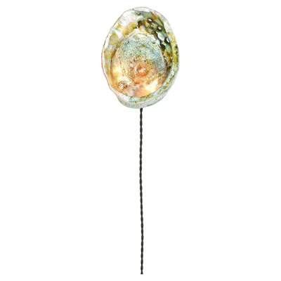 Pre-owned Tennant New York Xl Abalone Wall Sconce With Vintage Seashell Shade & Terracotta Base [corded] In Sand