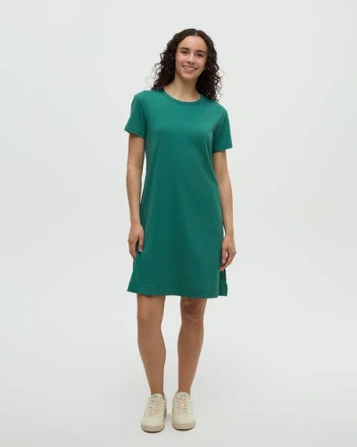 Tentree Birchwood Dress In Green