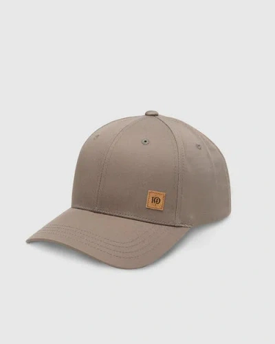Tentree Cork Icon Elevation Hat In Brown