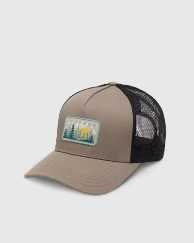 Tentree Forest Sun Altitude Hat In Brown