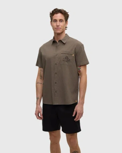 Tentree Hopkins Shirt In Brown