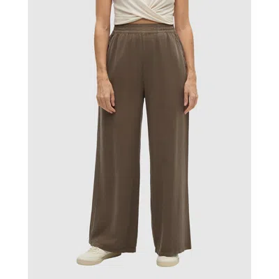 Tentree Kaslo Pant In Brown
