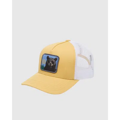 Tentree Lake Logo Altitude Hat In Yellow