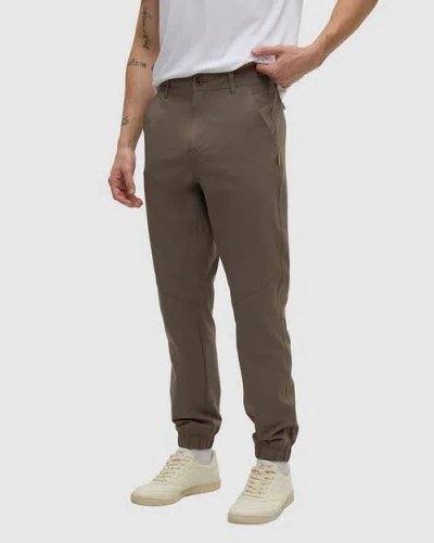 Tentree Rainier Jogger In Brown