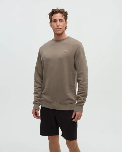 Tentree Reynard Crew In Brown