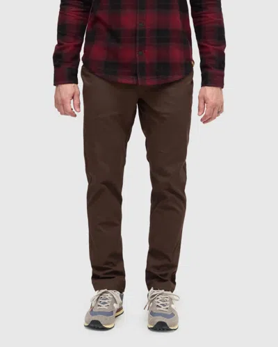 Tentree Strathcona Slim Pant In Brown