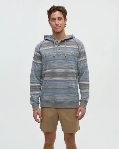 Tentree Woodrow Hoodie In Multi