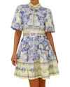 Teodora Mini Dress In Blue
