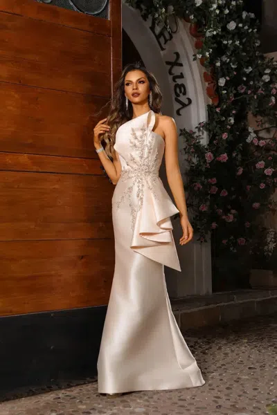 Terani Couture 251e4265 Beaded Long Floral Lace Applique Formal Evening Dress In Gray