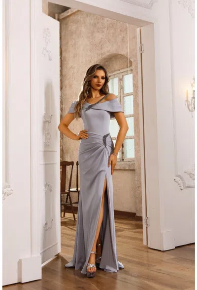 Terani Couture 251e4587 Fitted Formal Long Evening Dress In Gray
