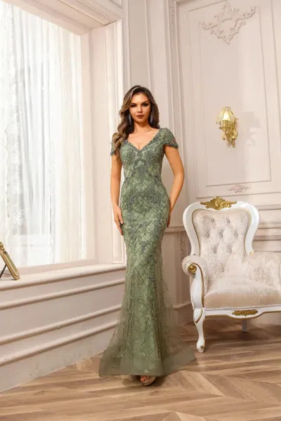 Terani Couture 251gl4194 Long Formal Fitted Evening Lace Dress In Green