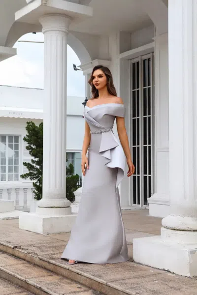 Terani Couture 251m4452 Long Evening Gown Fitted Formal Dress In Gray