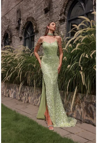 Terani Couture 251p4329 Fitted Slit Formal Beaded Long Prom Dress In Green