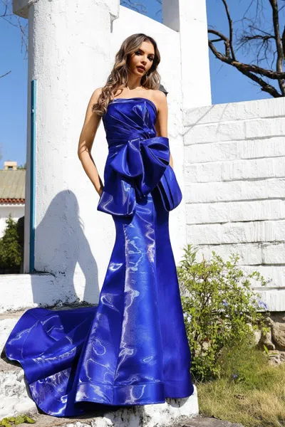 Terani Couture 252e5164 Fitted Long Formal Evening Dress In Blue