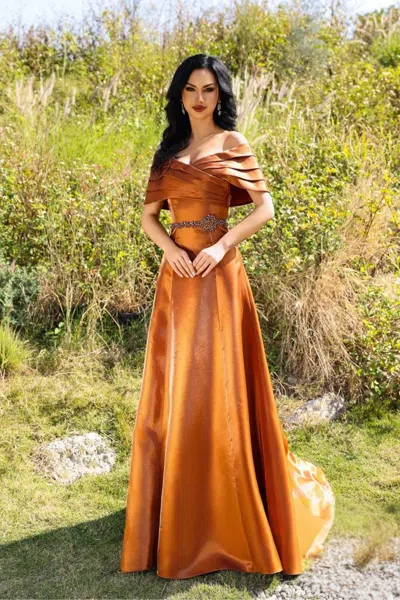 Terani Couture 252m5326 Pleated Long Formal A Line Beaded Evening Dress In Brown