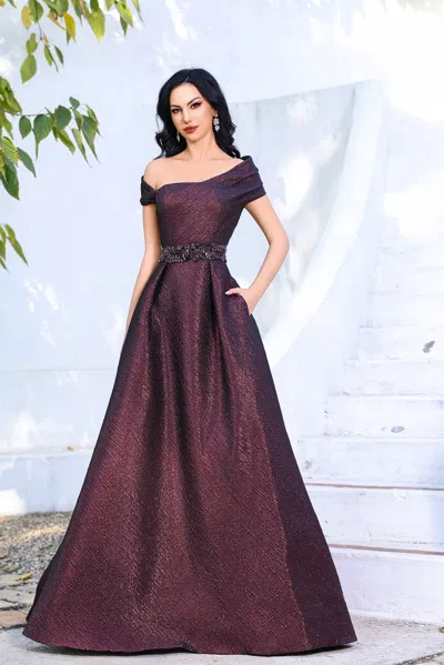 Terani Couture 252m5333 Ball Gown Long Formal Evening Dress In Burgundy