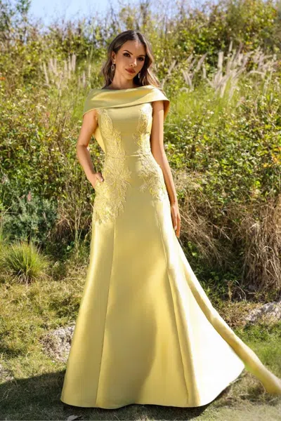 Terani Couture 252m5356 Long Evening Formal A Line Dress In Multi